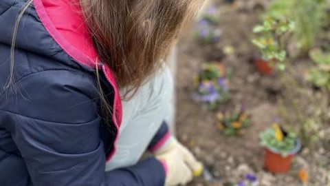 Eco-School training - Umweltschule werden